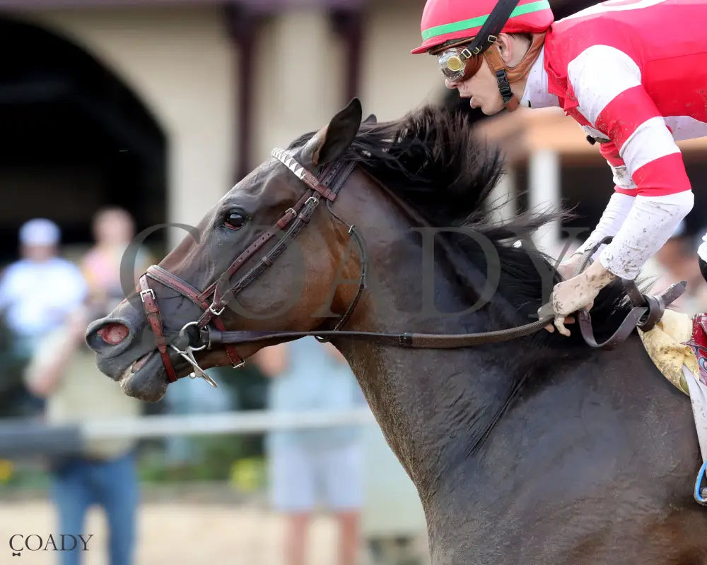 STURGEON MOON - The Audubon Oaks - 08-10-25 - R10 - ELP - Inside Finish 02 Ellis Park