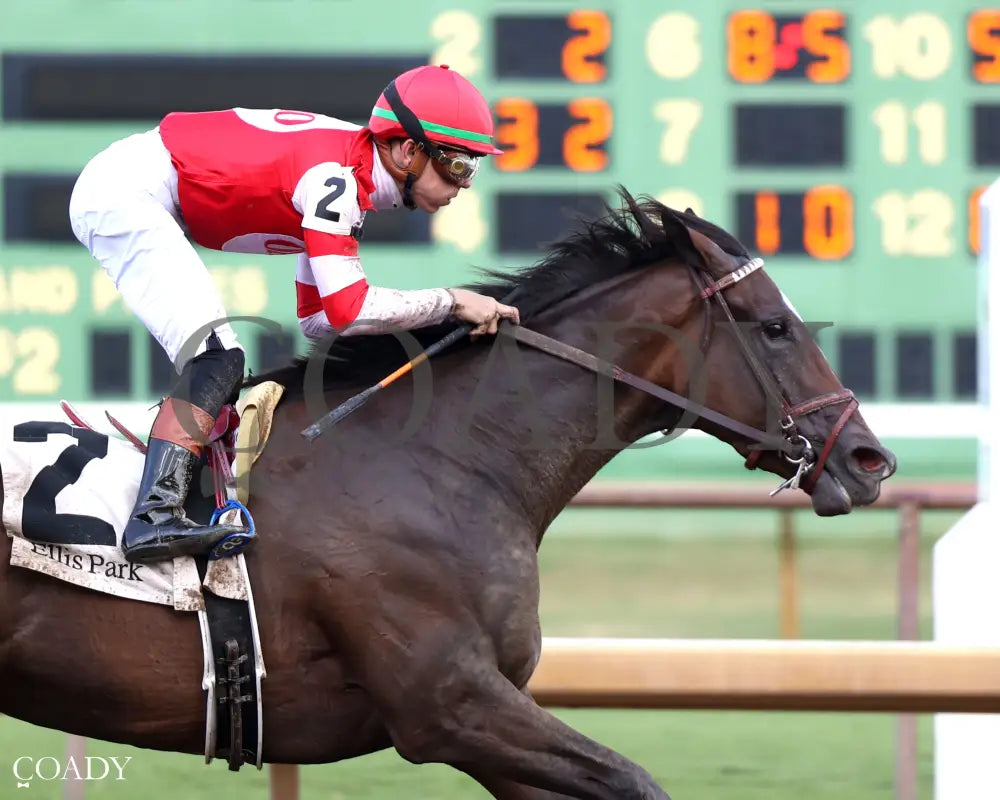 STURGEON MOON - The Audubon Oaks - 08-10-25 - R10 - ELP - Tight Finish 01 Ellis Park