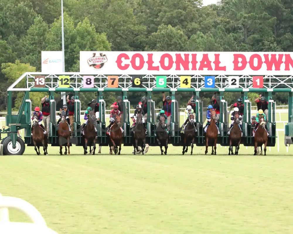 Style Points - Deep Satin 090724 Race 09 Cnl The Woodford Reserve Virginia Oaks Start 01 Colonial