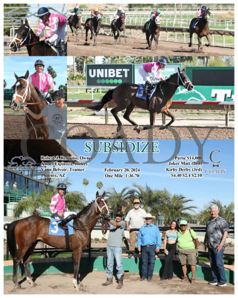 Subsidize - 02-20-24 R06 Tup Turf Paradise