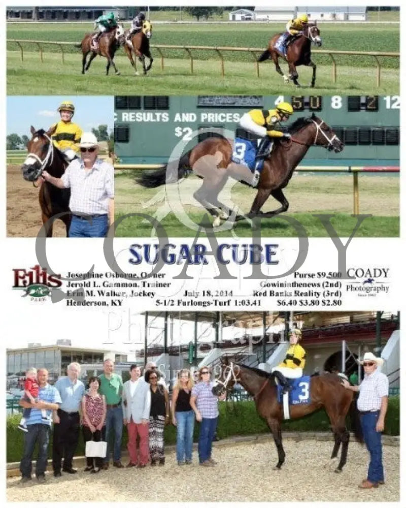 Sugar Cube - 071814 Race 08 Elp Ellis Park