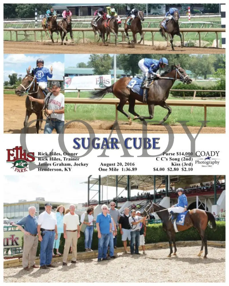 Sugar Cube - 082016 Race 03 Elp Ellis Park