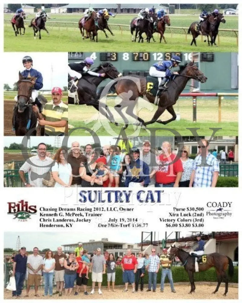 Sultry Cat - 071914 Race 09 Elp Ellis Park