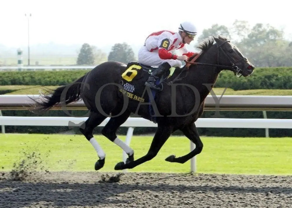 Sum Of The Parts - Finish 100512 Race 08 Keeneland
