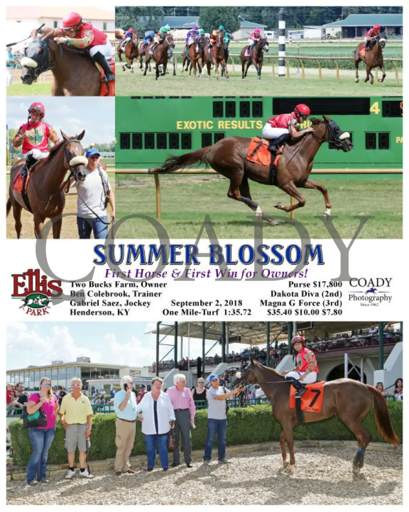 Summer Blossom - 090218 Race 05 Elp Ellis Park