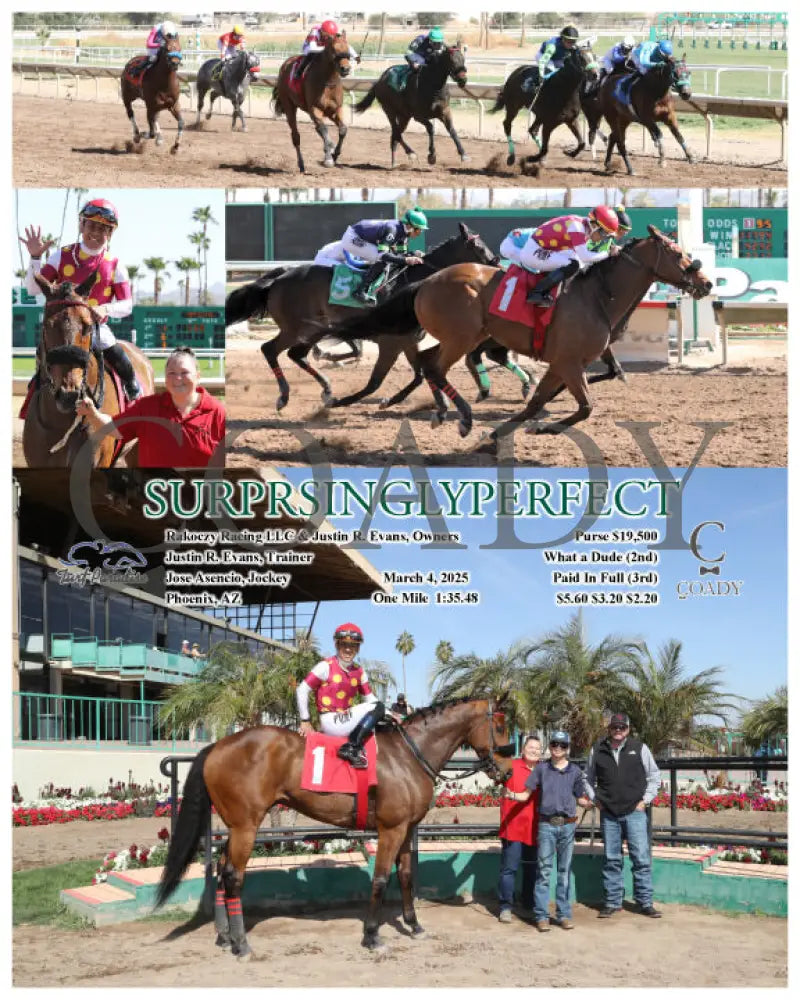 SURPRSINGLYPERFECT - 03-04-25 - R03 - TUP Turf Paradise