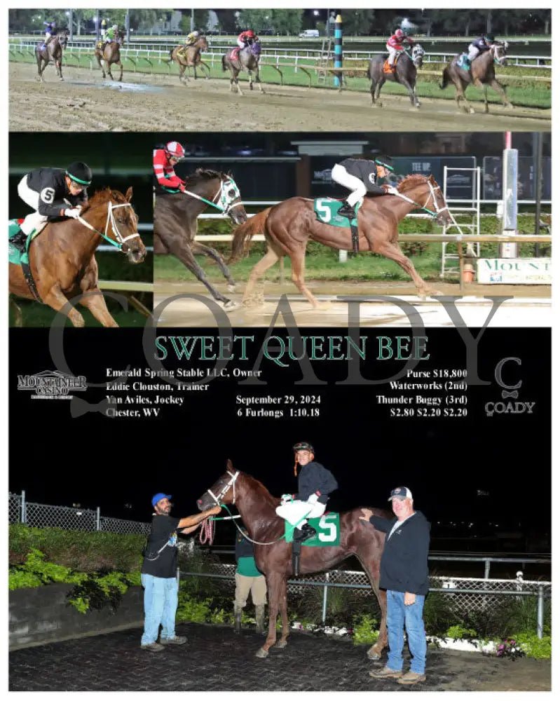 Sweet Queen Bee - 09-29-24 R03 Mnr Mountaineer Park
