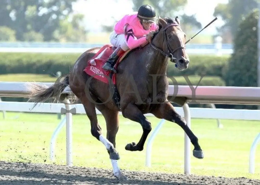 Sweet Seventeen - Proof 3 100711 Race 05 Keeneland
