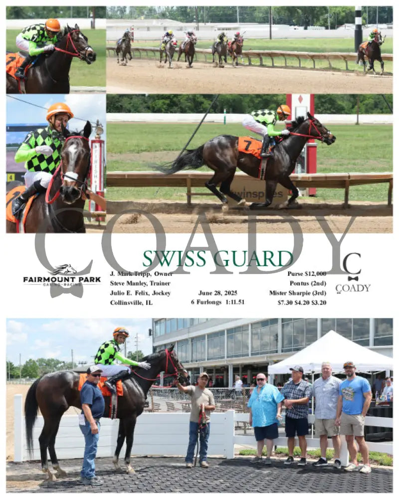 SWISS GUARD - 06-28-25 - R03 - FP Fanduel Sportsbook Horse Racing