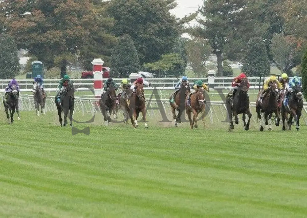 Tahoe Lake - 3 101211 Race 08 Keeneland