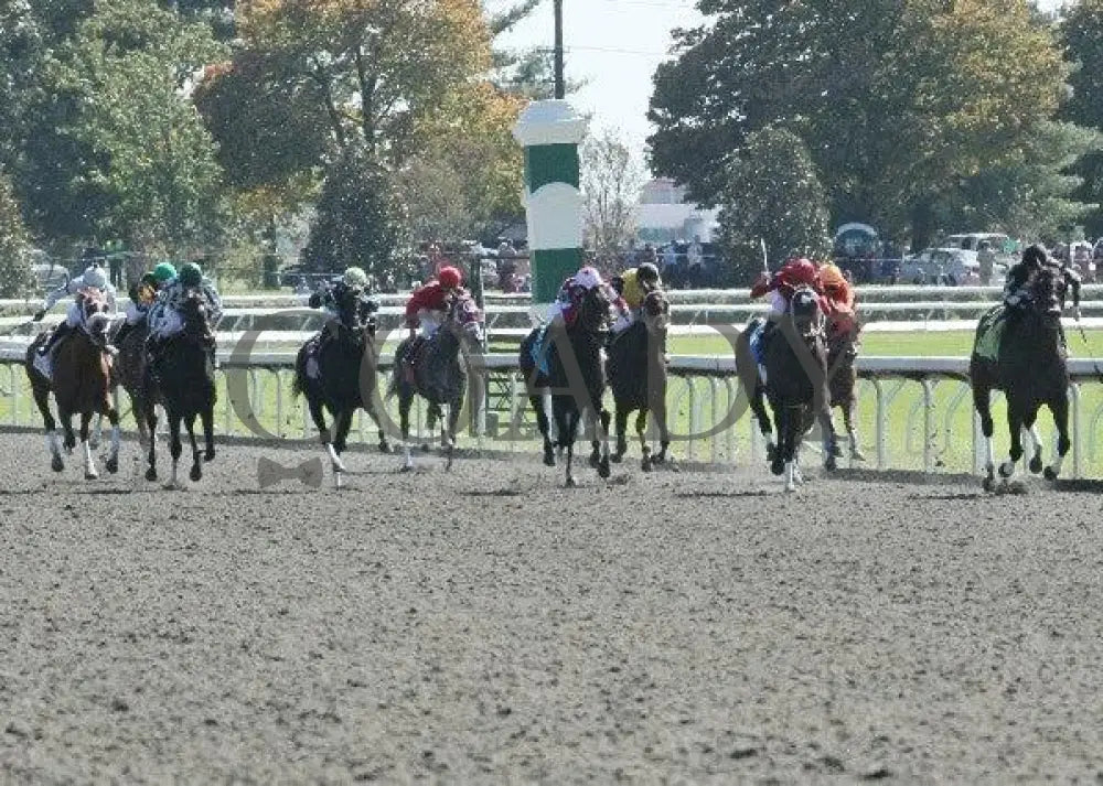 Taisteal Culle - 2 101511 Race 01 Keeneland