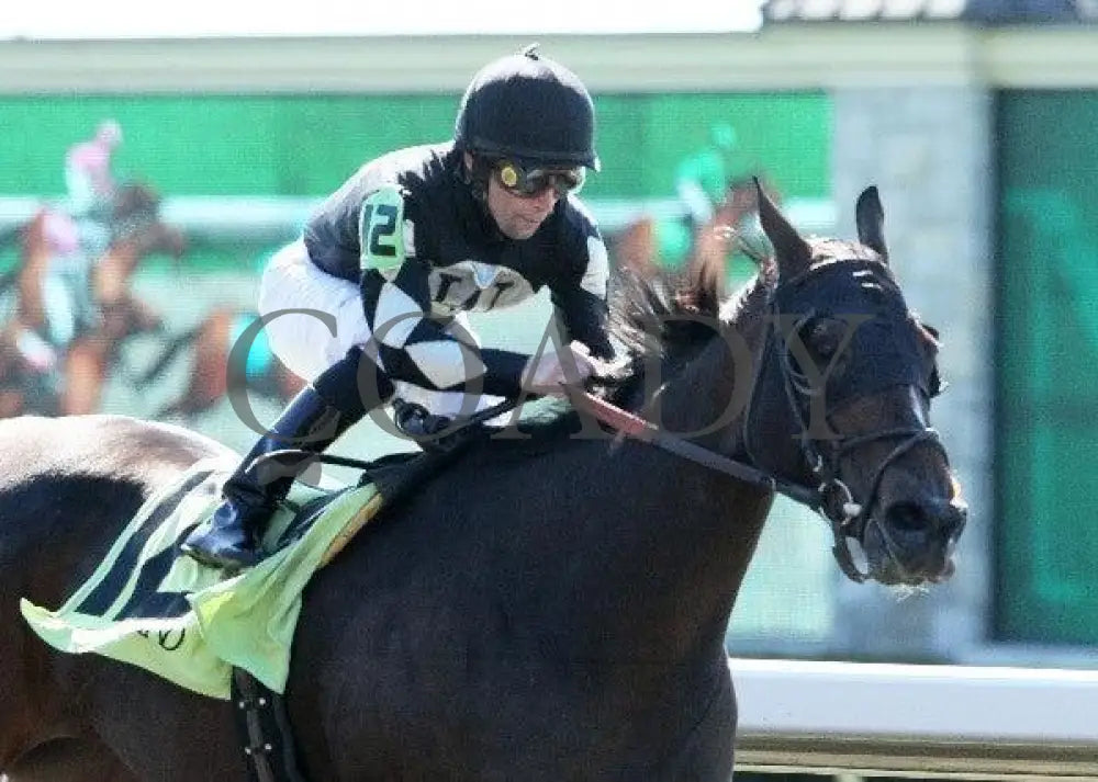 Taisteal Culle - 3 101511 Race 01 Keeneland