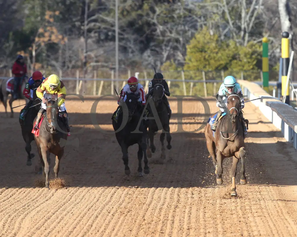 Take Charge Milady - The Martha Washington Stakes 01-25-25 R09 Op Head On 01 Oaklawn Park