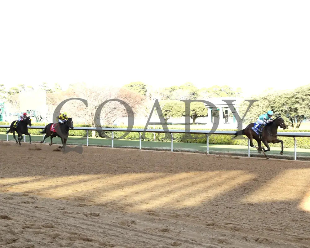 Take Charge Milady - The Martha Washington Stakes 01-25-25 R09 Op Up Track 01 Oaklawn Park