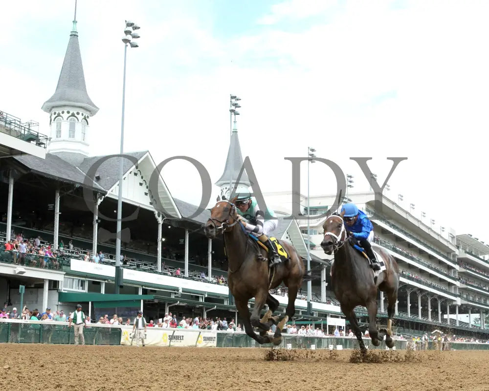 TAKE CHARGE MILADY - The Monomoy Girl Overnight Stakes - 06-14-25 - R05 - CD - Under Rail first pass 01 Churchill Downs