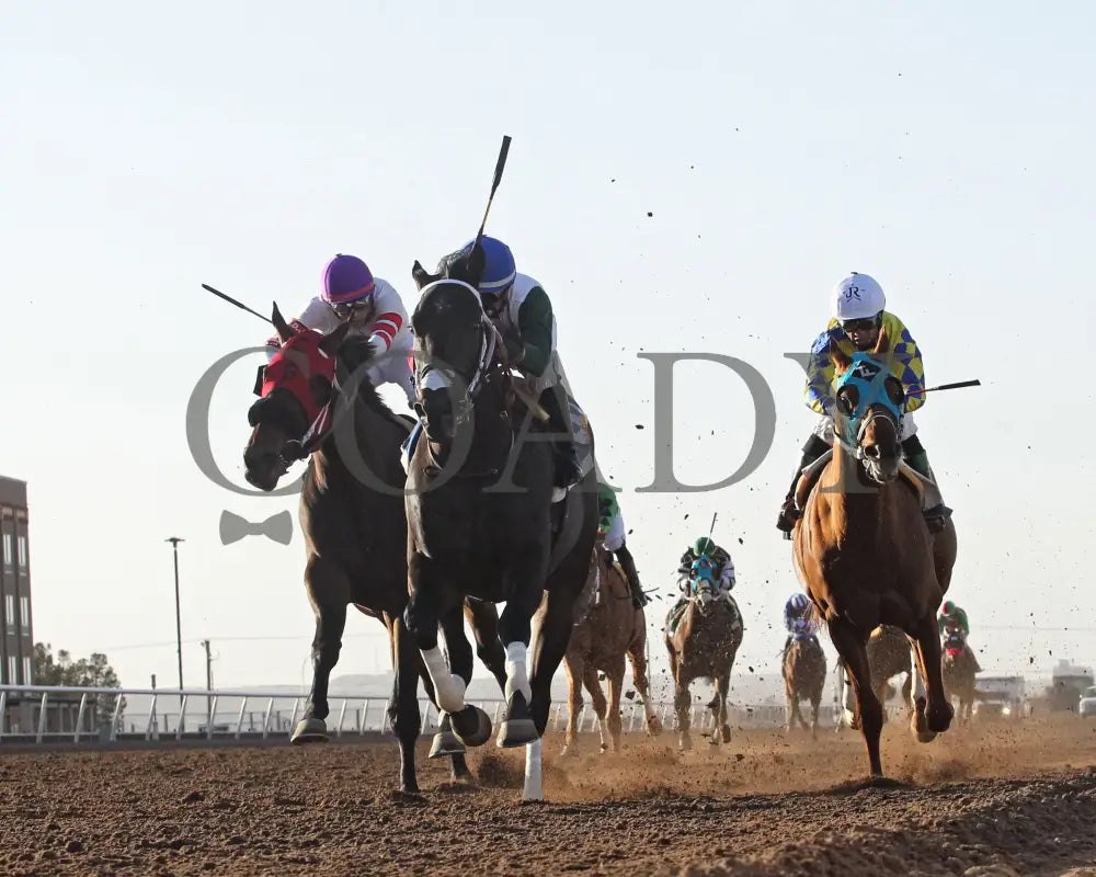 Take Charge Tom - The 61St Running Of Riley Allison Derby 01-17-25 R09 Sunland Park Under Rail