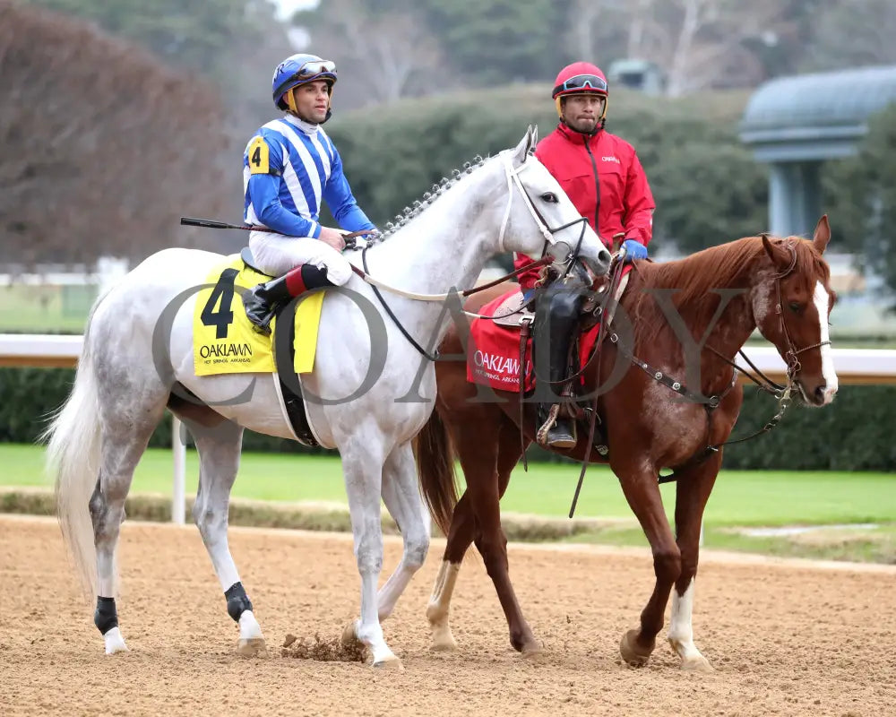 TAP INTO THIS - The Coach Overnight Stakes - 01-02-26 - R08 - OP - Post Parade 01 - Coady Media - Kurtis Coady Photography