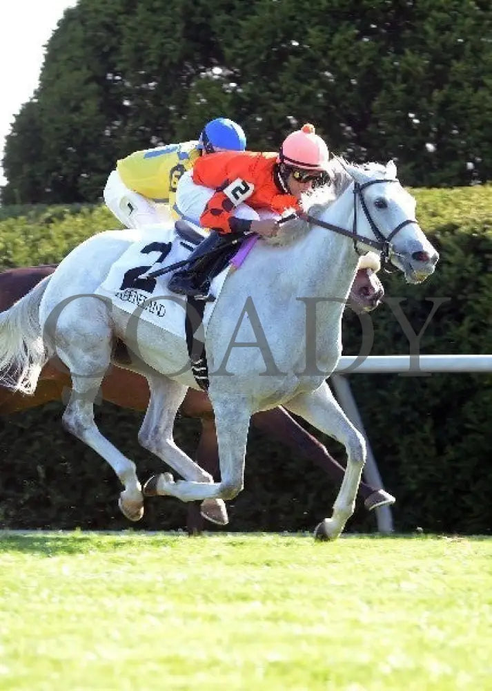 Tapitsfly - 100612 Race 07 Finish 2 Keeneland