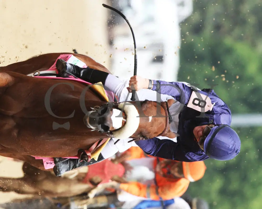 Taris - 050716 001 Churchill Downs