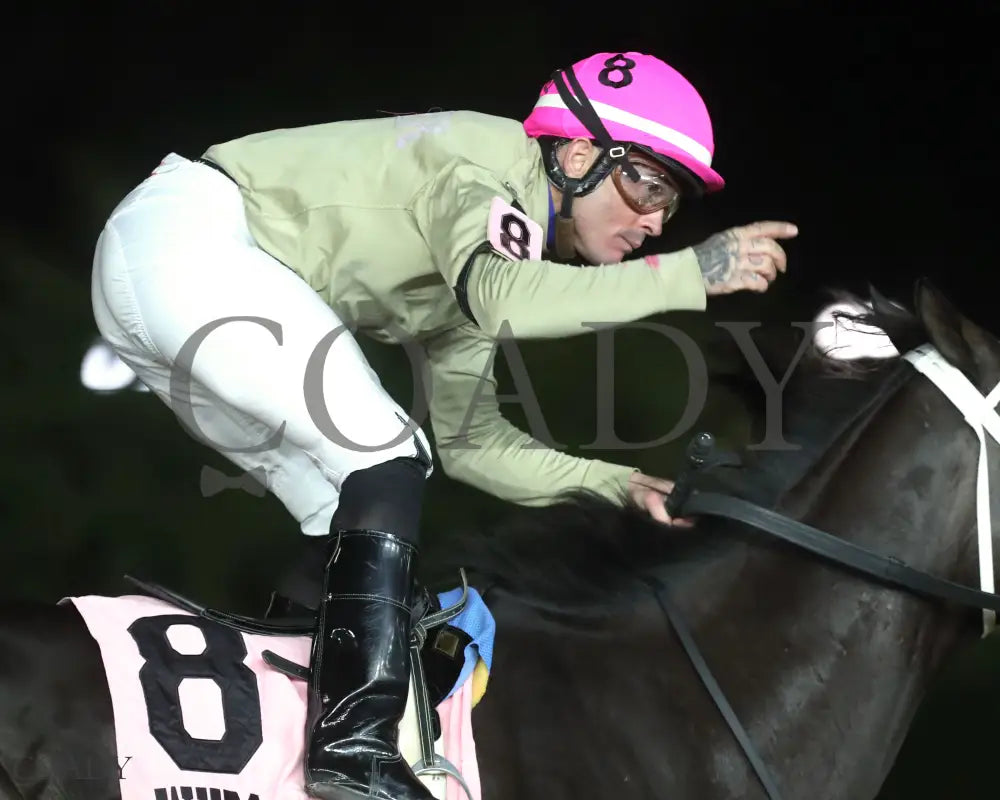 TEACHINTHERELEASE - 101125 - Race 09 - CT The Sam Huff West Virginia Breeders’ Classic Stakes - Celebration 02