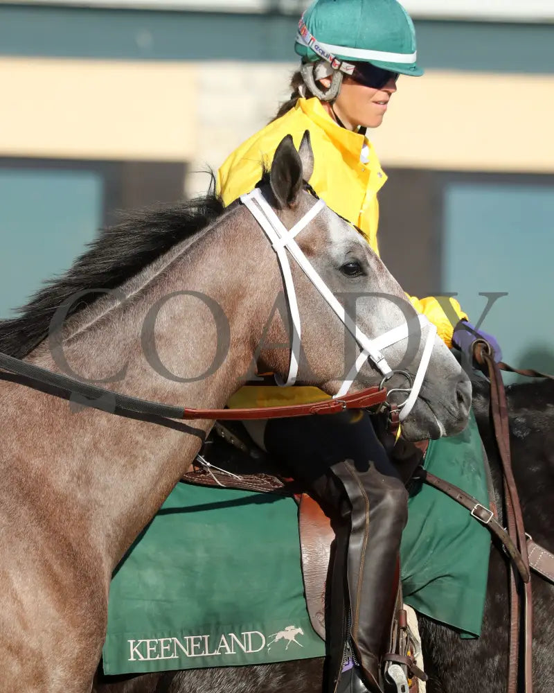TED NOFFEY - 100425 - Race 09 - KEE - Post Parade 01 Keeneland