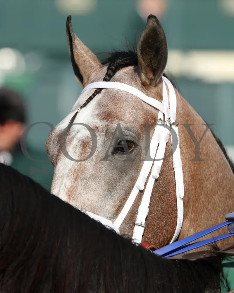 TED NOFFEY - 100425 - Race 09 - KEE - Post Parade 02 Keeneland