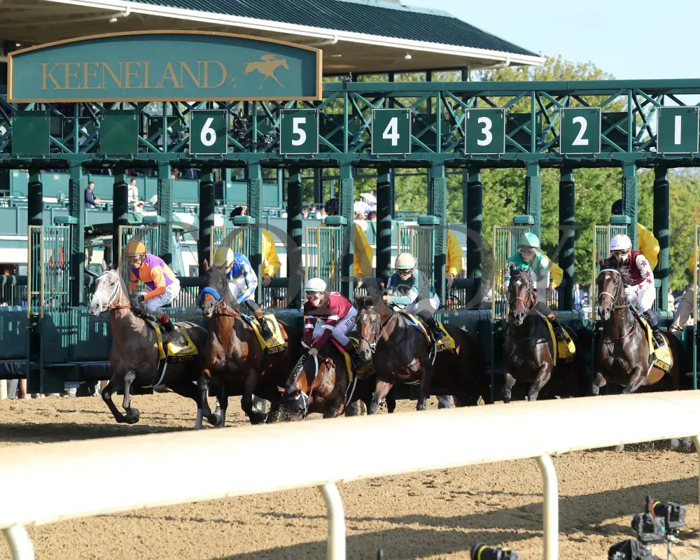 TED NOFFEY - 100425 - Race 09 - KEE - Start 02 Keeneland
