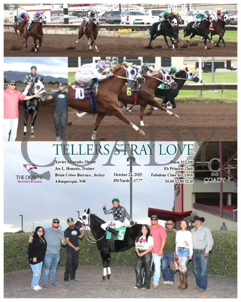 TELLERS STRAY LOVE - 10-24-25 - R07 - ALB Downs at Albuquerque