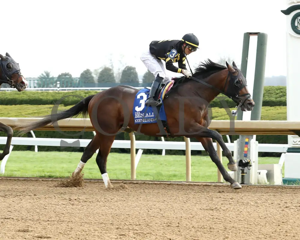 TENNESSEE LAMB - The Ben Ali G3 - 04-19-25 - R10 - KEE - Finish 02 Keeneland