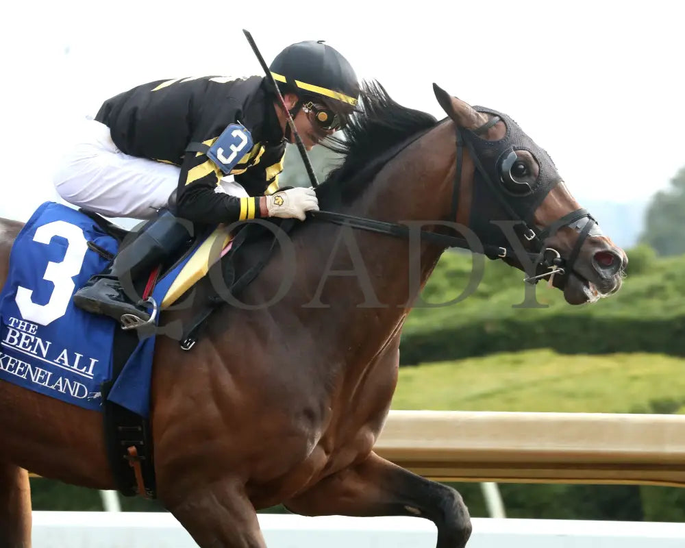 TENNESSEE LAMB - The Ben Ali G3 - 04-19-25 - R10 - KEE - Finish 04 Keeneland
