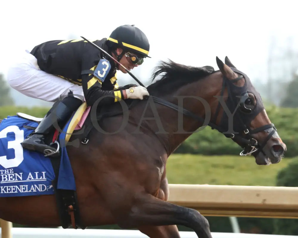 TENNESSEE LAMB - The Ben Ali G3 - 04-19-25 - R10 - KEE - Tight Finish 01 Keeneland