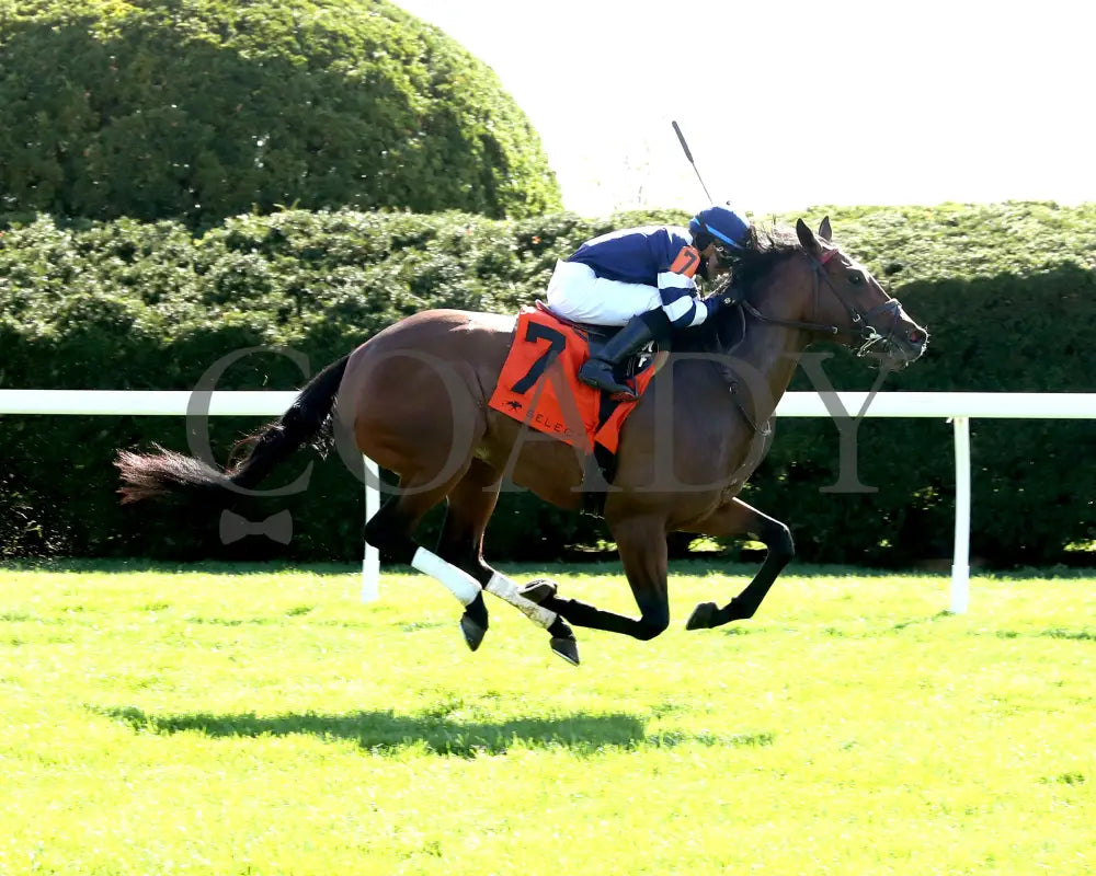 TEST SCORE - The Transylvania Presented by Keeneland Select - 04-07-25 - R08 - KEE - Finish 01 Keeneland