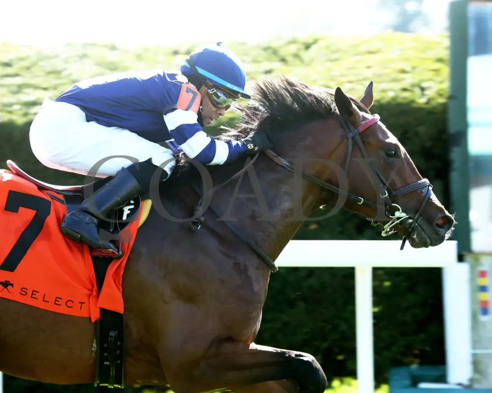 TEST SCORE - The Transylvania Presented by Keeneland Select - 04-07-25 - R08 - KEE - Finish 02 Keeneland