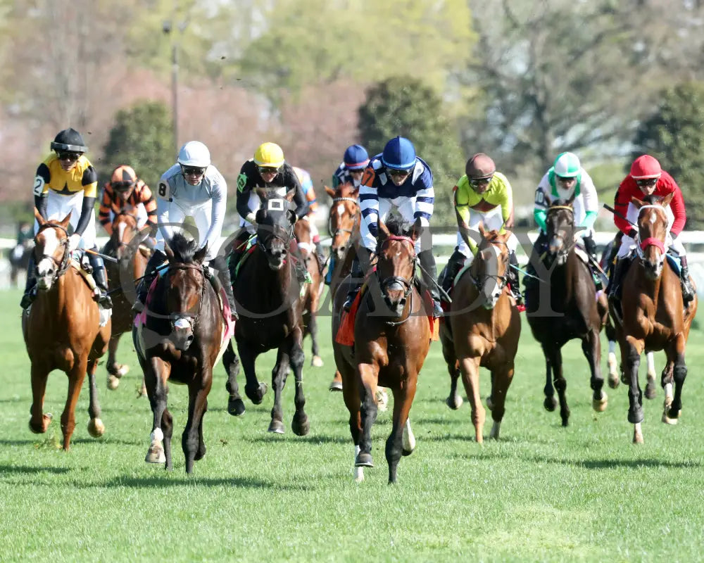 TEST SCORE - The Transylvania Presented by Keeneland Select - 04-07-25 - R08 - KEE - Gallop Out 01 Keeneland