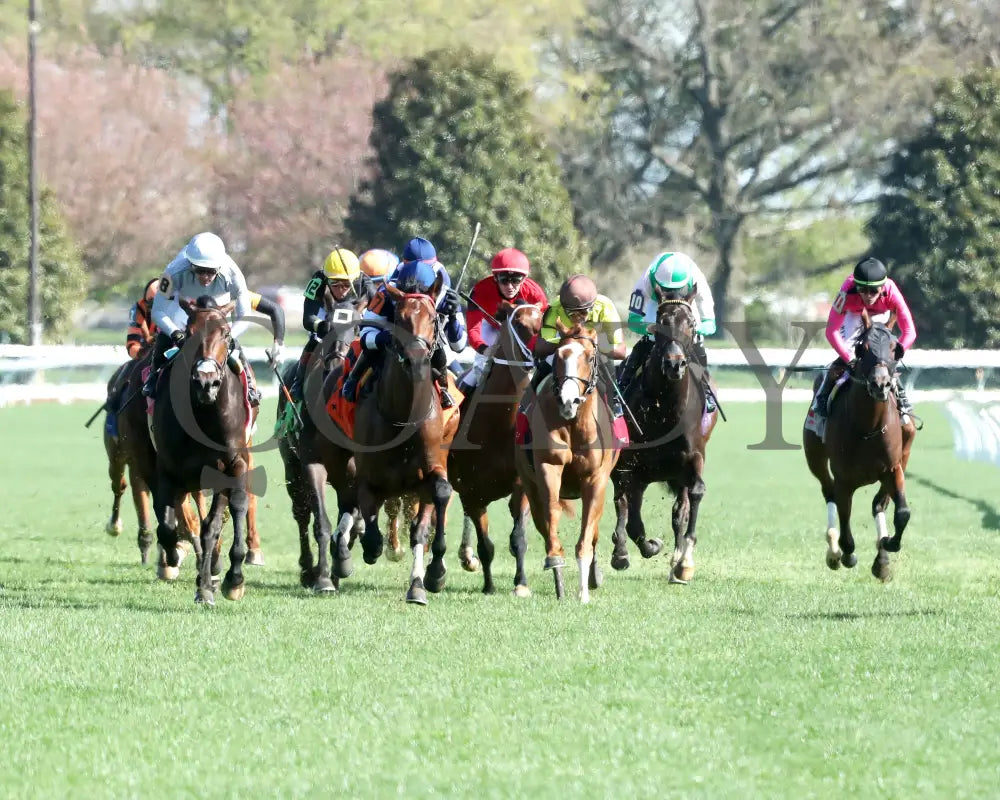 TEST SCORE - The Transylvania Presented by Keeneland Select - 04-07-25 - R08 - KEE - Head On 01 Keeneland