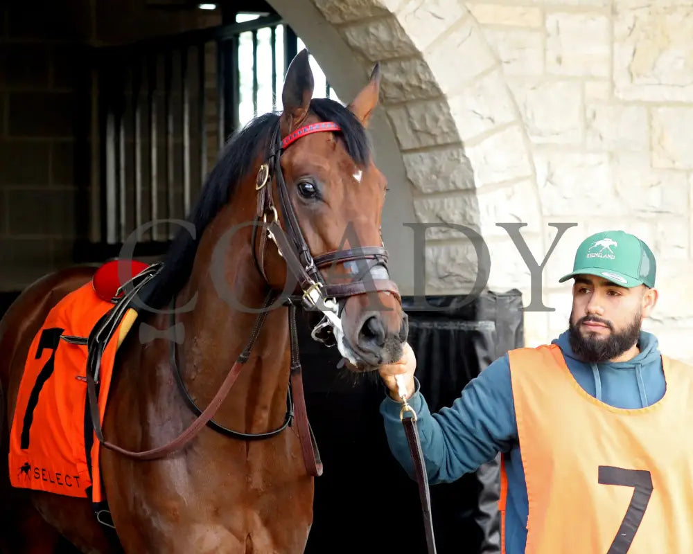 TEST SCORE - The Transylvania Presented by Keeneland Select - 04-07-25 - R08 - KEE - Paddock 01 Keeneland