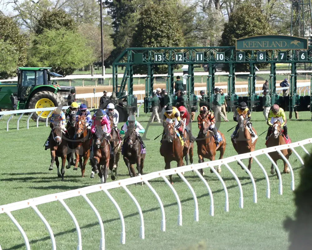 TEST SCORE - The Transylvania Presented by Keeneland Select - 04-07-25 - R08 - KEE - Start 01 Keeneland