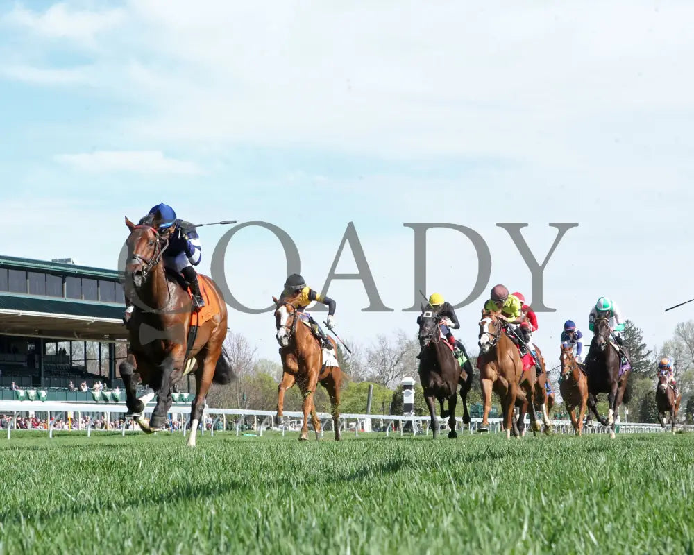 TEST SCORE - The Transylvania Presented by Keeneland Select - 04-07-25 - R08 - KEE - Under Rail 01 Keeneland