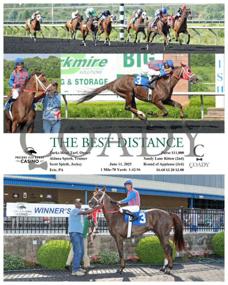 THE BEST DISTANCE - 06-11-25 - R05 - PID Presque Isle Downs