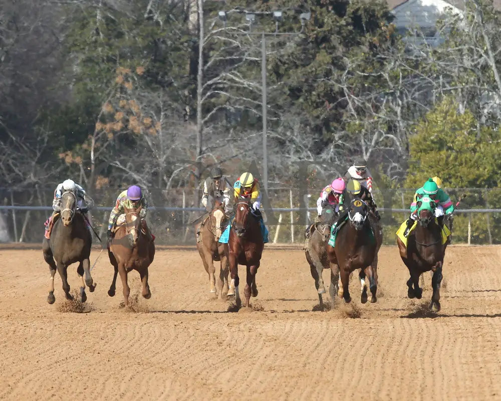 The Wine Steward - The Fifth Season Stakes 01-25-25 R07 Op Head On 01 Oaklawn Park