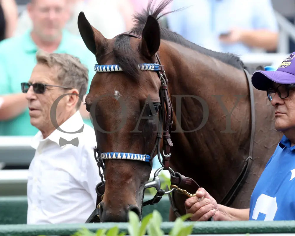 THORPEDO ANNA - 062825 - Race 07 - CD - Paddock 01 Churchill Downs