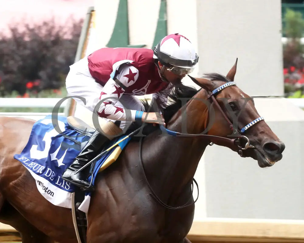 THORPEDO ANNA - 062825 - Race 07 - CD - Tight Finish 01 Churchill Downs