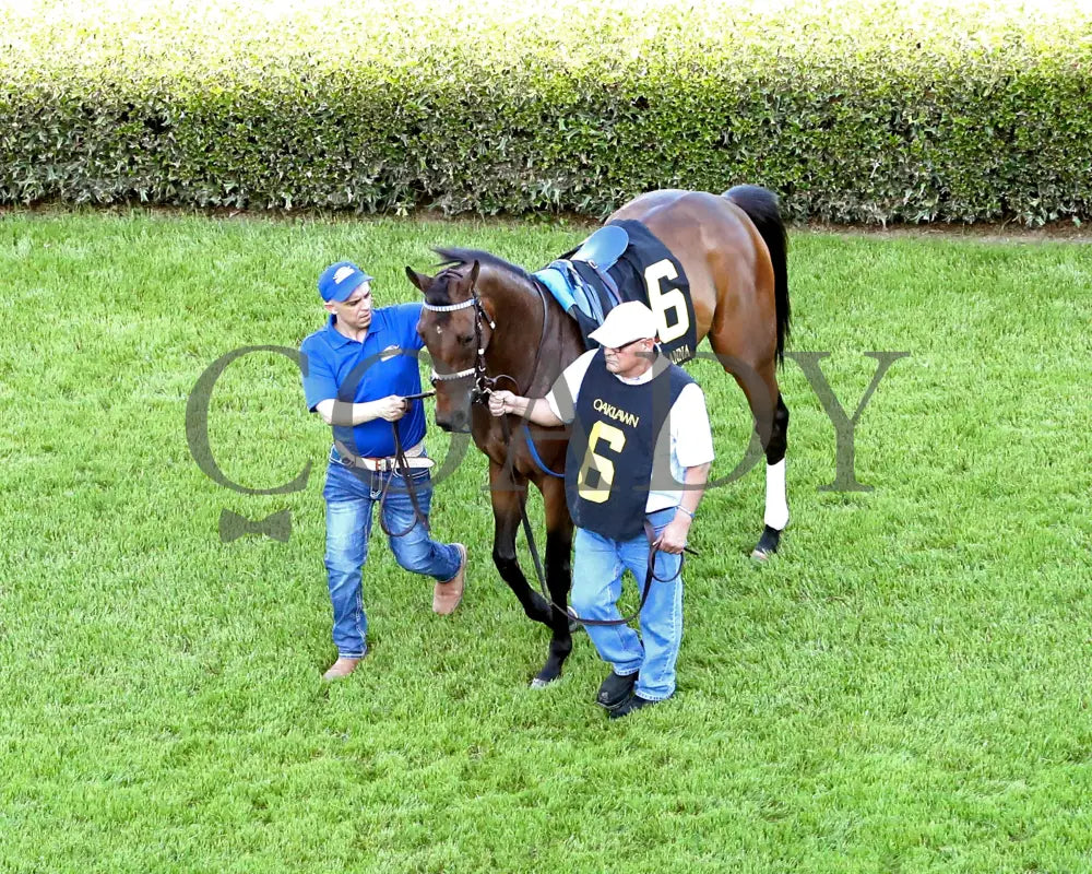 THORPEDO ANNA - The Apple Blossom Handicap - G1 - 04-12-25 - R11 - OP - Paddock 09 Oaklawn Park