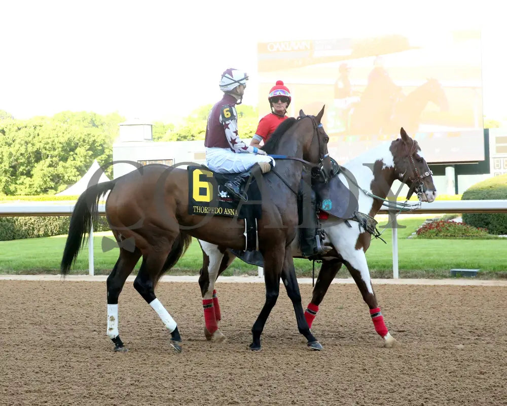 THORPEDO ANNA - The Apple Blossom Handicap - G1 - 04-12-25 - R11 - OP - Post Parade 06 Oaklawn Park