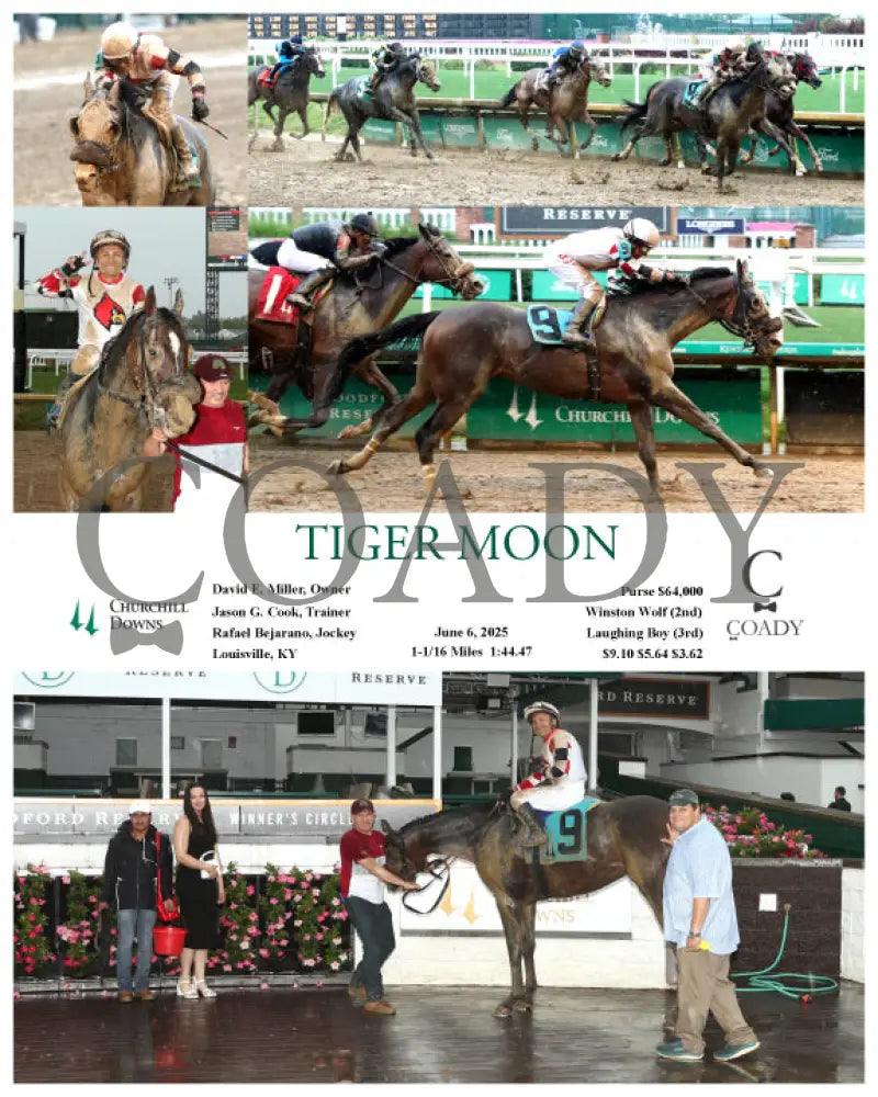 TIGER MOON - 060625 - Race 04 - CD Churchill Downs