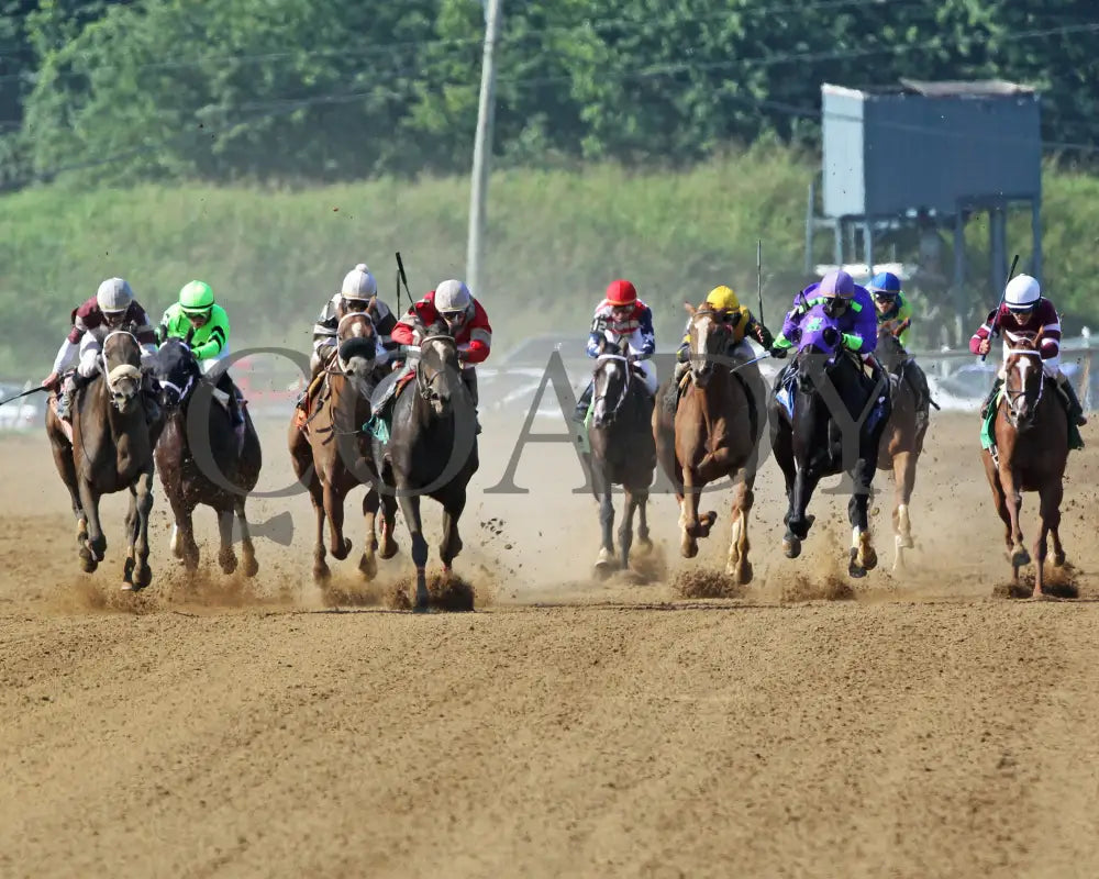 TIGER MOTH - 081317 - Race 08 - ELP - Head On 1 - Coady Media - Kurtis Coady Photography