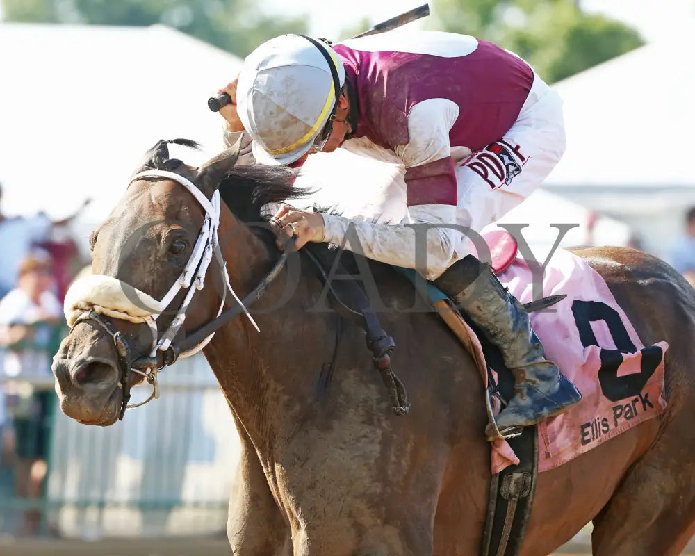 Tiger Moth - 081317 Race 08 Elp -Inside Finish 1 Ellis Park