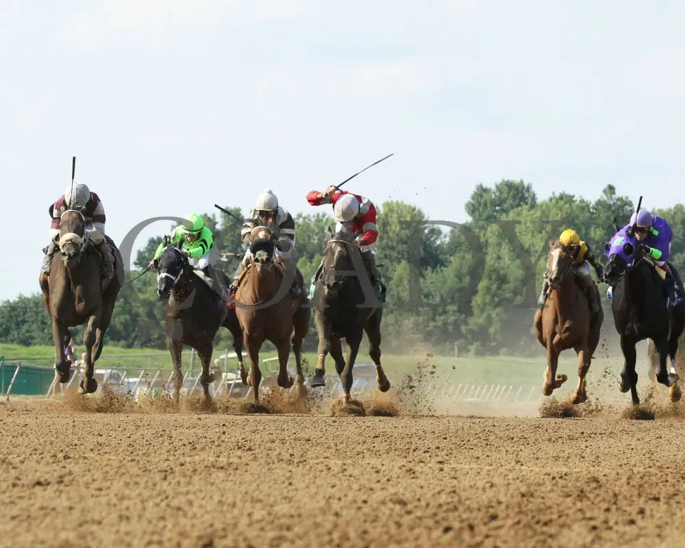 TIGER MOTH - 081317 - Race 08 - ELP - Under Rail 1 - Coady Media - Kurtis Coady Photography