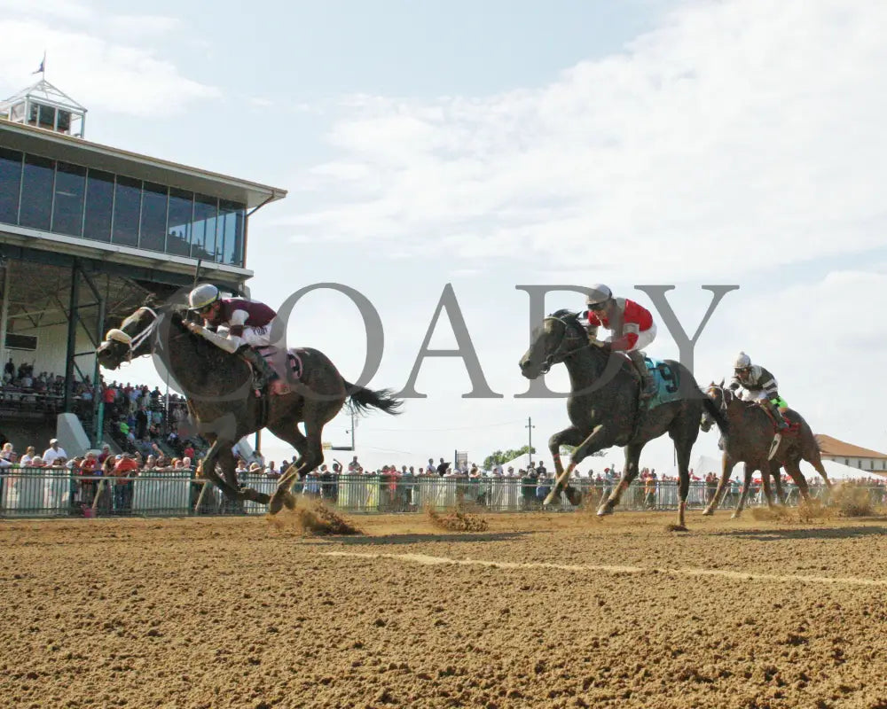 TIGER MOTH - 081317 - Race 08 - ELP - Under Rail 2 - Coady Media - Kurtis Coady Photography