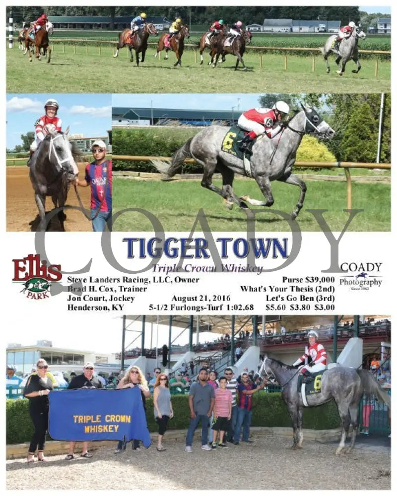 Tigger Town - 082116 Race 06 Elp Ellis Park